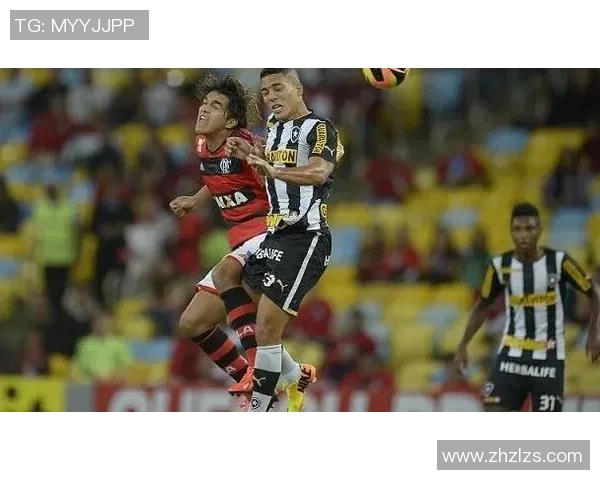 博塔弗戈与沙佩科恩斯比赛前瞻及胜负预测分析 博塔弗戈与沙佩科恩斯比赛前瞻及胜负预测分析