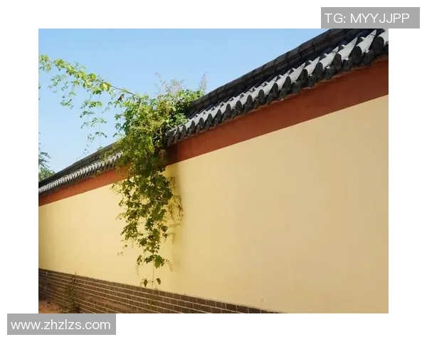 从乡村走出的世界冠军，“轮椅飞人”章莹获评“湖北残疾人自强榜样”