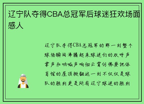 辽宁队夺得CBA总冠军后球迷狂欢场面感人