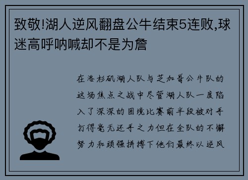 致敬!湖人逆风翻盘公牛结束5连败,球迷高呼呐喊却不是为詹