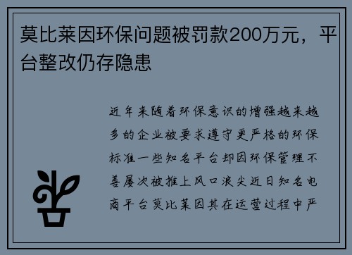 莫比莱因环保问题被罚款200万元，平台整改仍存隐患