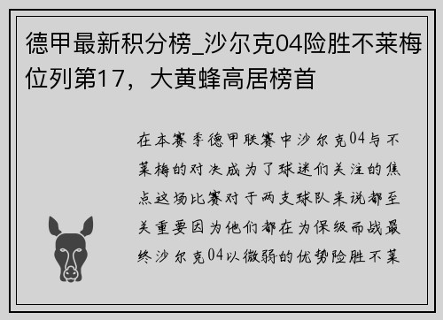 德甲最新积分榜_沙尔克04险胜不莱梅位列第17，大黄蜂高居榜首